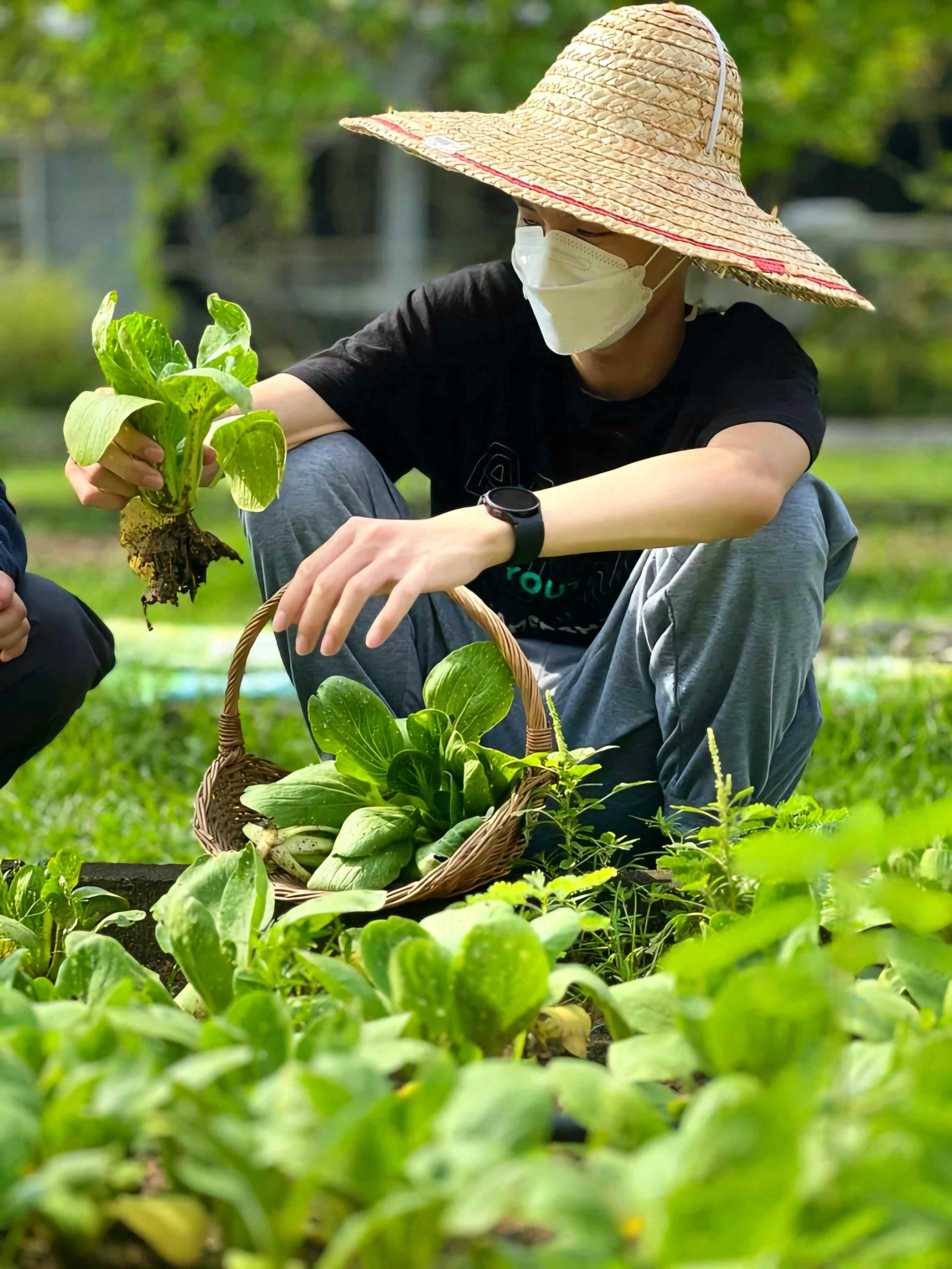 Sutera Good Earth Farm
